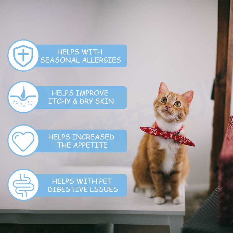 Dog Hemp Oil Supplement - Manufacturer - Oem&Odm Allergy Immunity Arthritis Pain Relief Organic