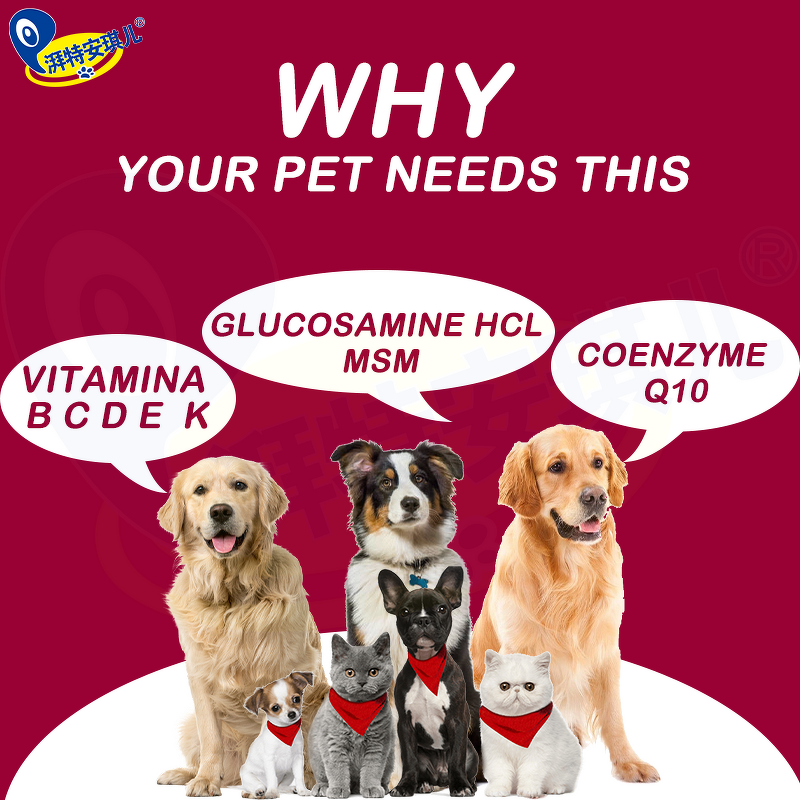 Dog Multivitamin Supplement - Manufacturer - Wholesale 10 in 1 OEM Daily Health Multi-Functional
