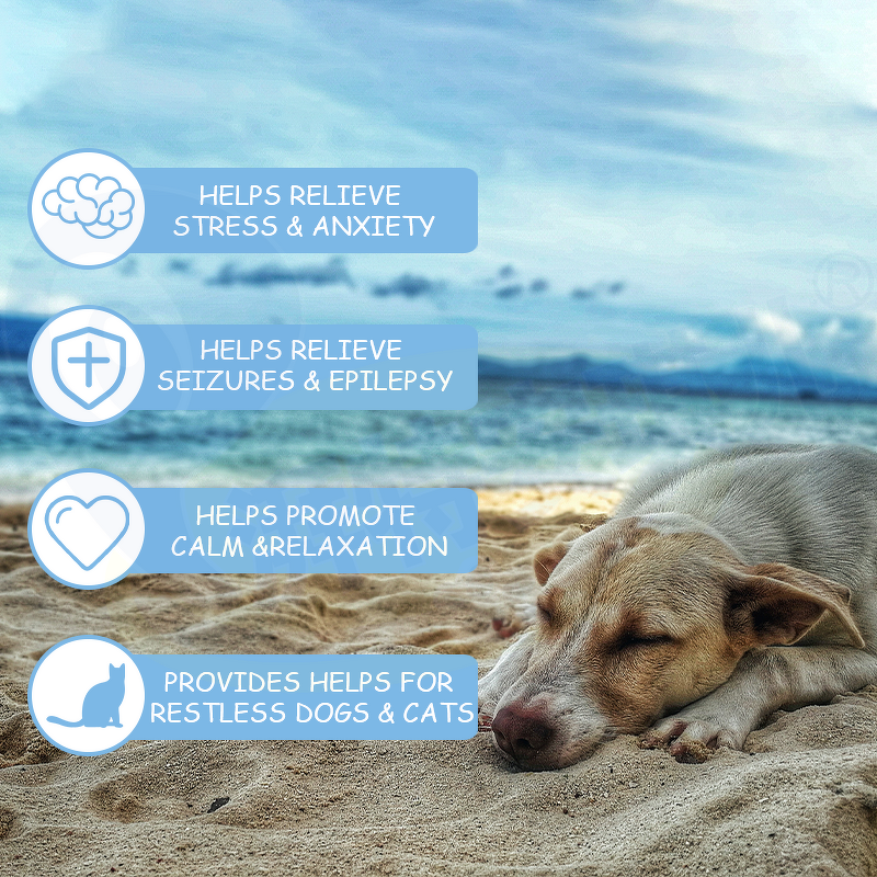 Dog Hemp Oil Supplement - Manufacturer - Oem&Odm Allergy Immunity Arthritis Pain Relief Organic