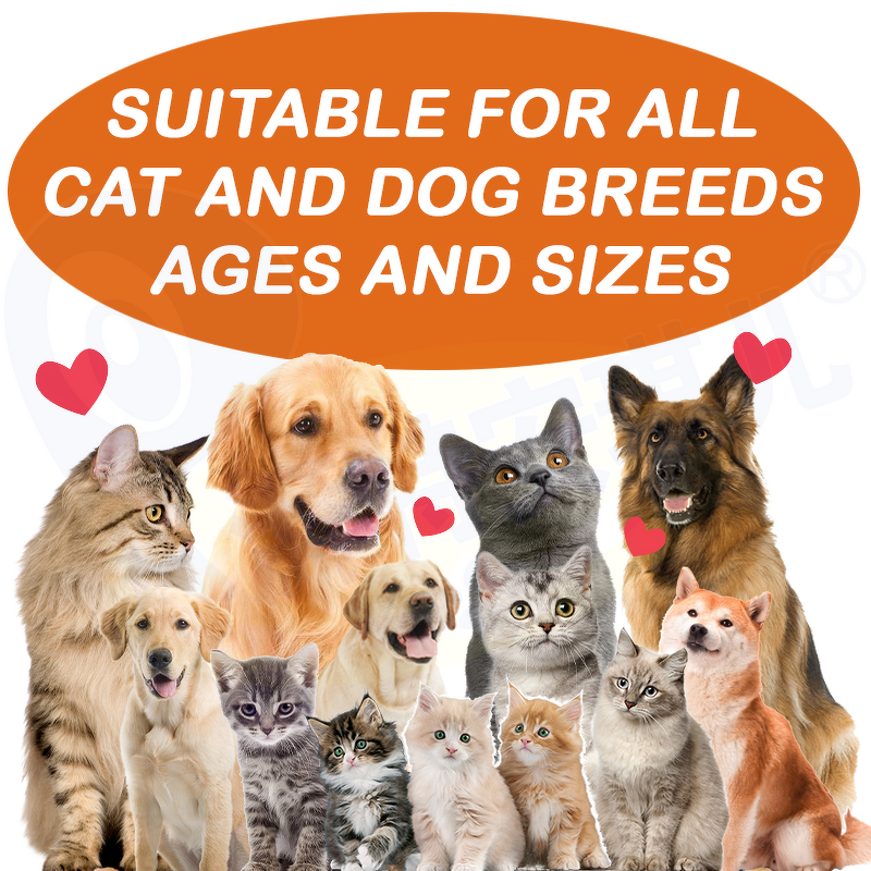 Cat Hairball Control Chews - Manufacturer - OEM/ODM Natural Omega 3 6 Fatty Acids Remedy Aid