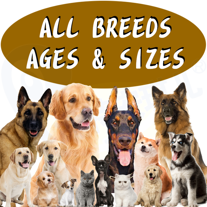 Dog Probiotic Soft Chews - Manufacturer - Wholesale Custom Six Strains 270g 300g 360g Treats