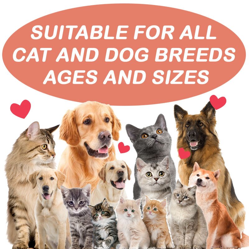 Cat Probiotic Supplement - Manufacturer - VE VA Enzymes Digestive Health Pet Suppliers