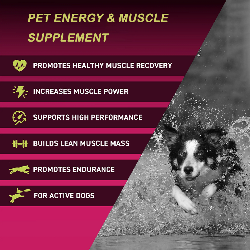 Super Fuel Dog Supplement - Manufacturer - Exercise Tolerance Stamina Endurance Muscle Integrity