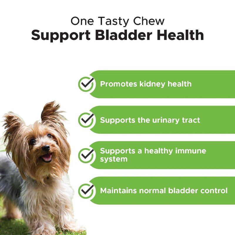 Pet Bladder Bites Chews - Manufacturer - Professional Custom Brand Natural Dogs Cats Health