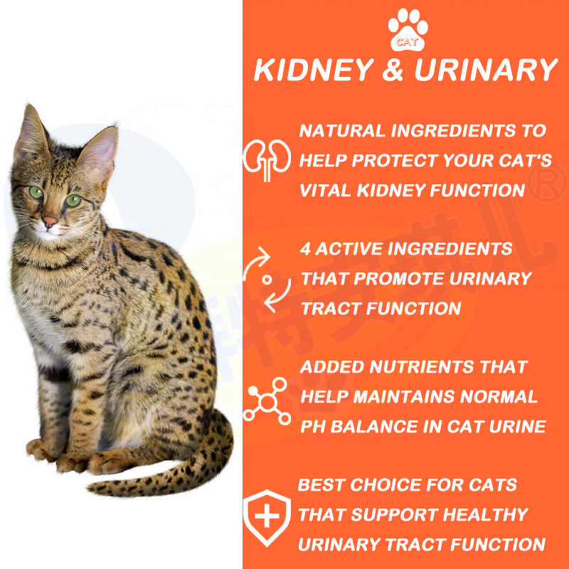 Cat Kidney Supplement - Manufacturer - OEM Private Label Nutrition Urinary Kidney Function
