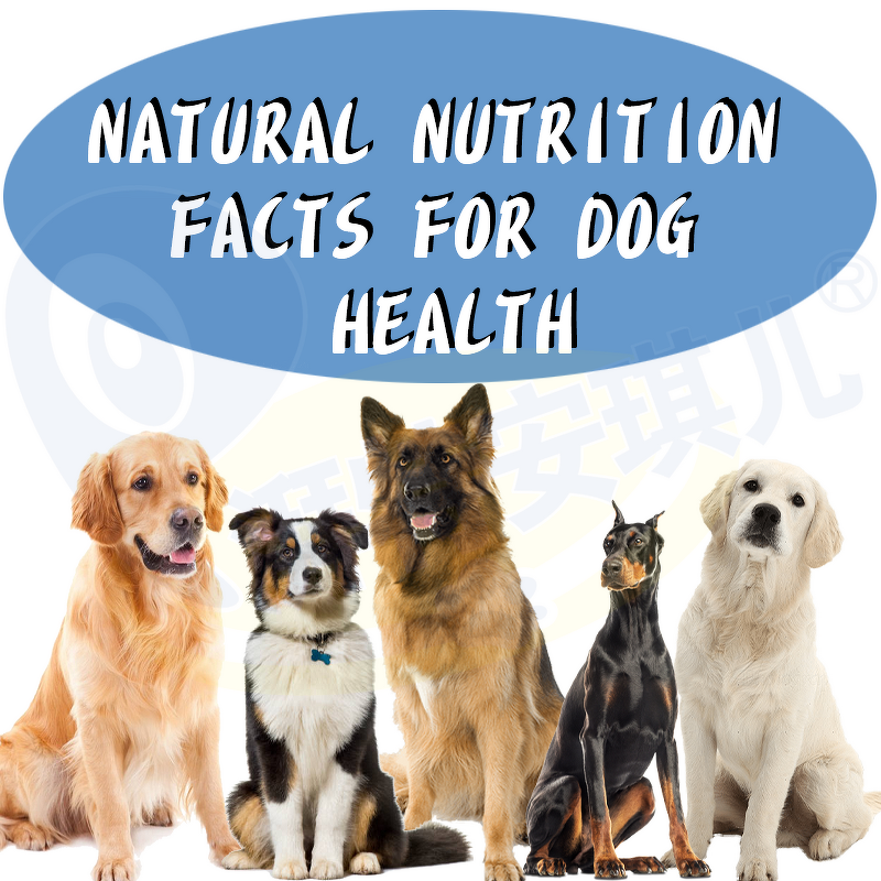 Gestamate Dog Supplement - Manufacturer - Botanical Blend Pregnant Post Breeding Whelp Weaning