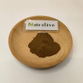 Alpinia Galanga Extract Manufacturer - 10:1 & Bulk ISO HALAL