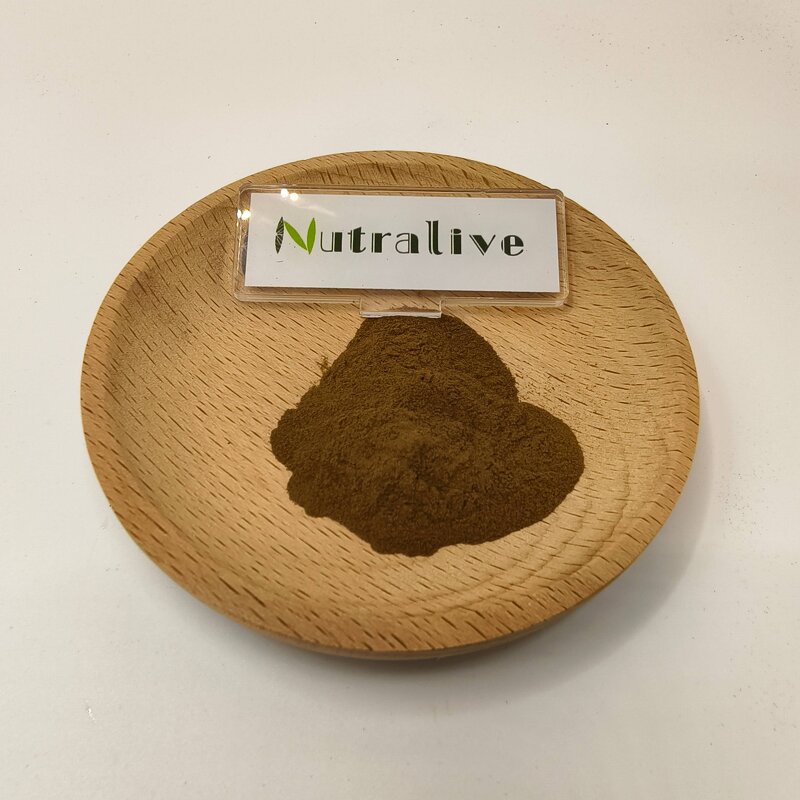 Alpinia Galanga Extract Manufacturer - 10:1 & Bulk ISO HALAL