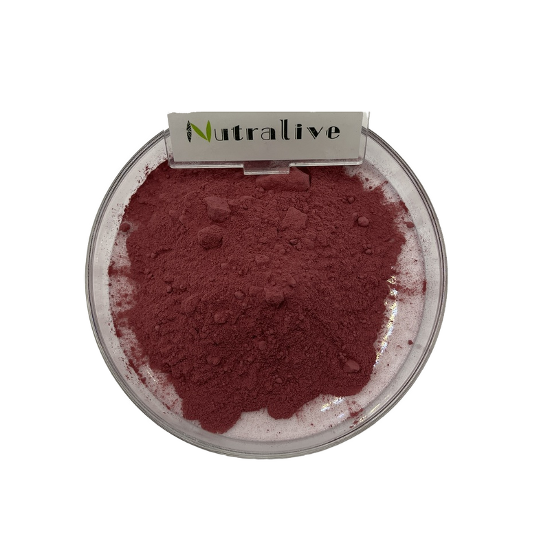 Vegetables Fruit Powder Manufacturer - Pure Organic & Food Grade