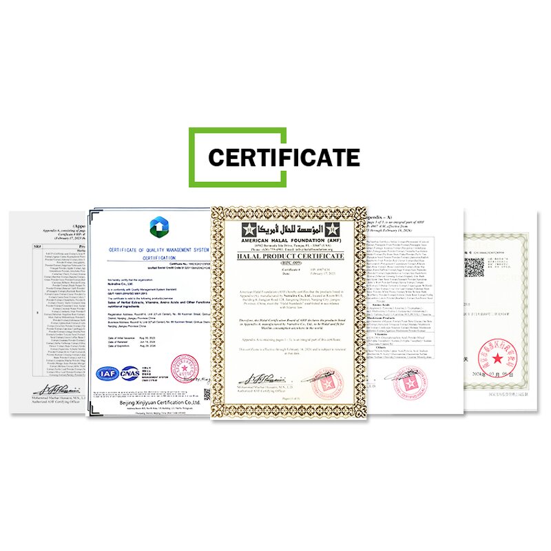 Pumpkin Seed Powder Manufacturer - Cucurbita Moschata