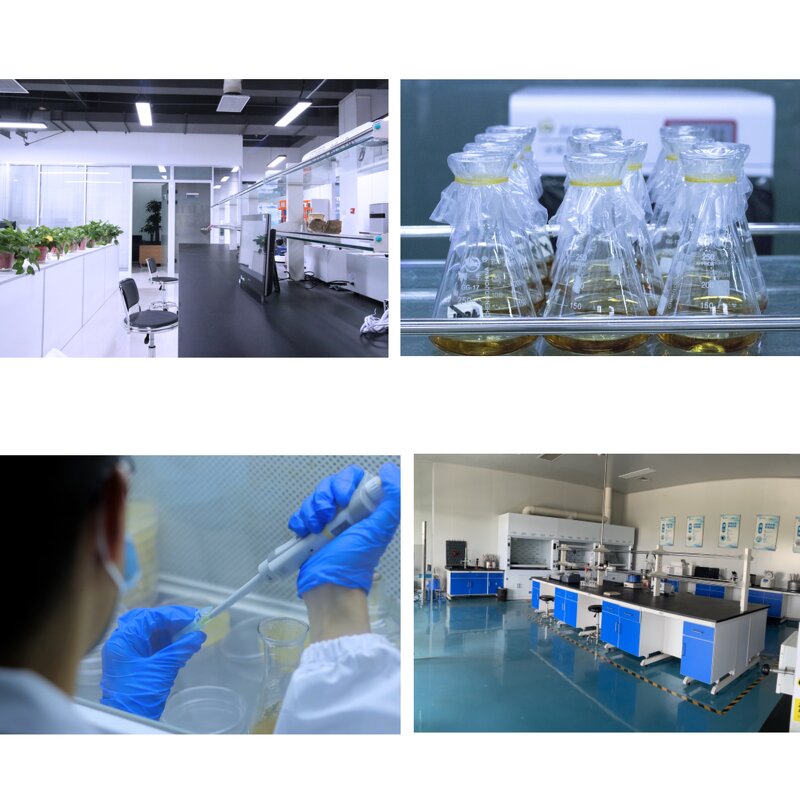 Vitamin K1 Powder Manufacturer - Food & Cosmetic Grade 1%-98%