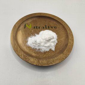 Acetyl L-Carnitine HCL Manufacturer - ISO HALAL Certified