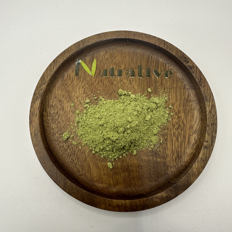 Barley Grass Powder Manufacturer - 100% Pure Organic & ISO HALAL