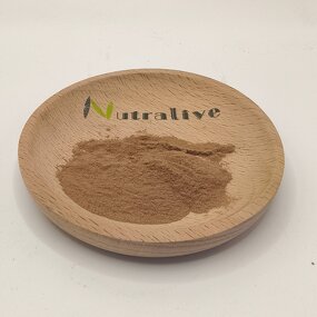 Wolfiporia Cocos Extract Manufacturer - Bulk Supply