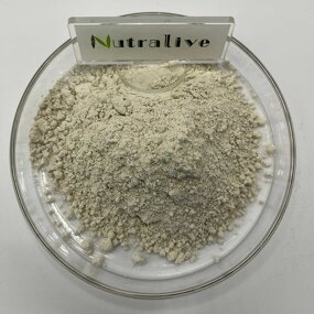 Sunflower Seed Oil Powder Manufacturer - 100% Natural Plant Protein