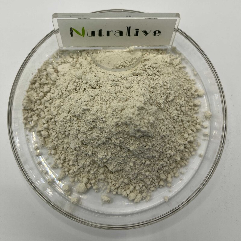 Sunflower Seed Oil Powder Manufacturer - 100% Natural Plant Protein