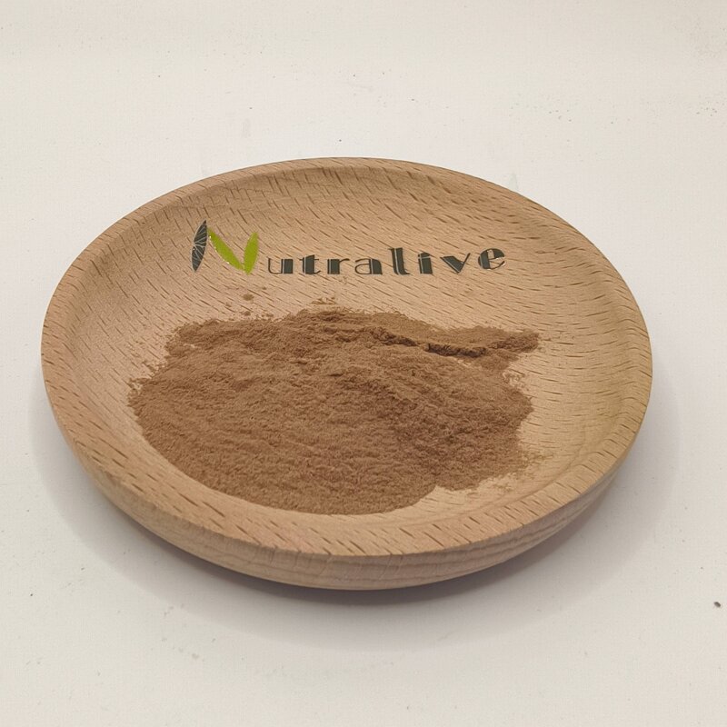 Ziziphus Jujube Extract Manufacturer - 30:1 & Bulk ISO HALAL