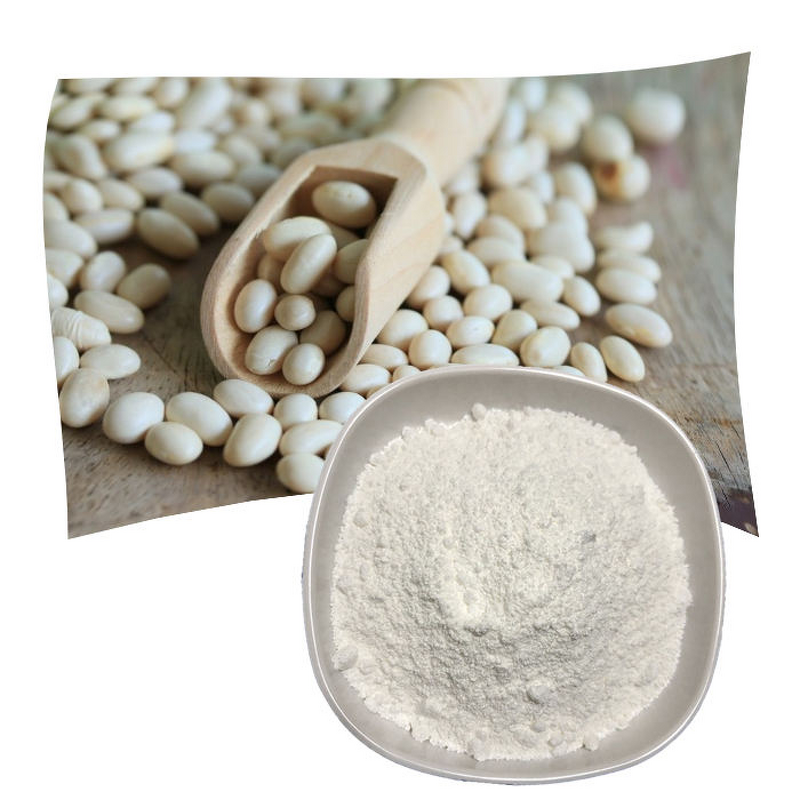 Kidney Bean Extract Powder Manufacturer - Bulk & ISO HALAL