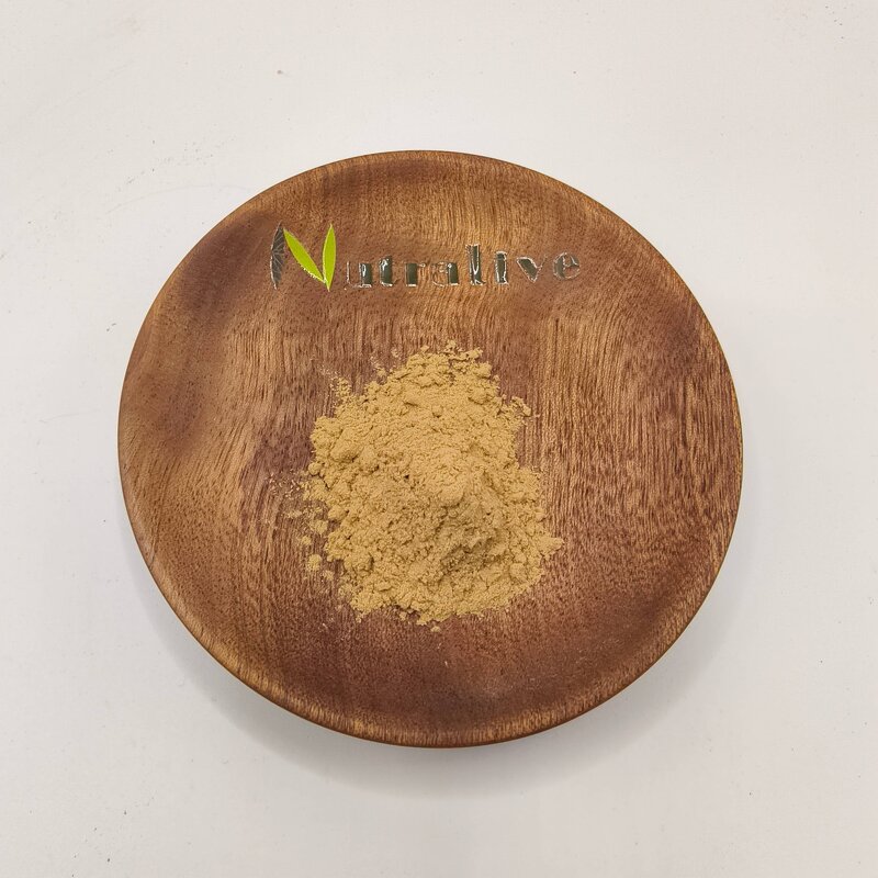 Horse Chestnut Extract Manufacturer - Aesculus Hippocastanum