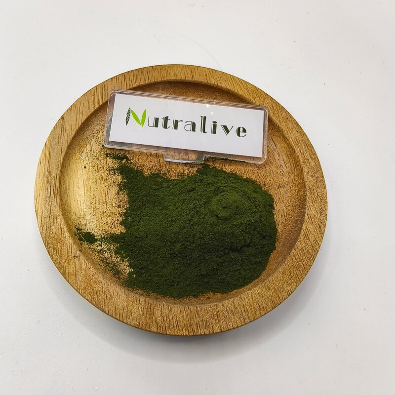 Spirulina Powder Manufacturer - 100% Pure Organic & ISO HALAL