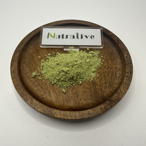 Barley Grass Powder Manufacturer - 100% Pure Organic & ISO HALAL