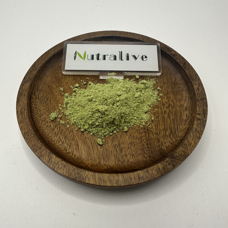 Barley Grass Powder Manufacturer - 100% Pure Organic & ISO HALAL