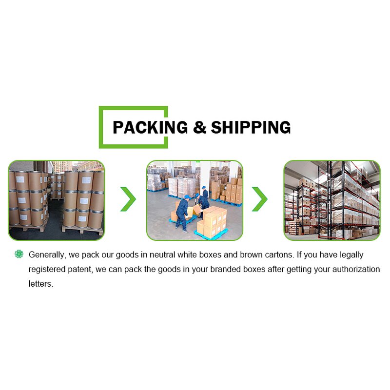 Astragalus Extract Manufacturer - Astragalus Membranaceus