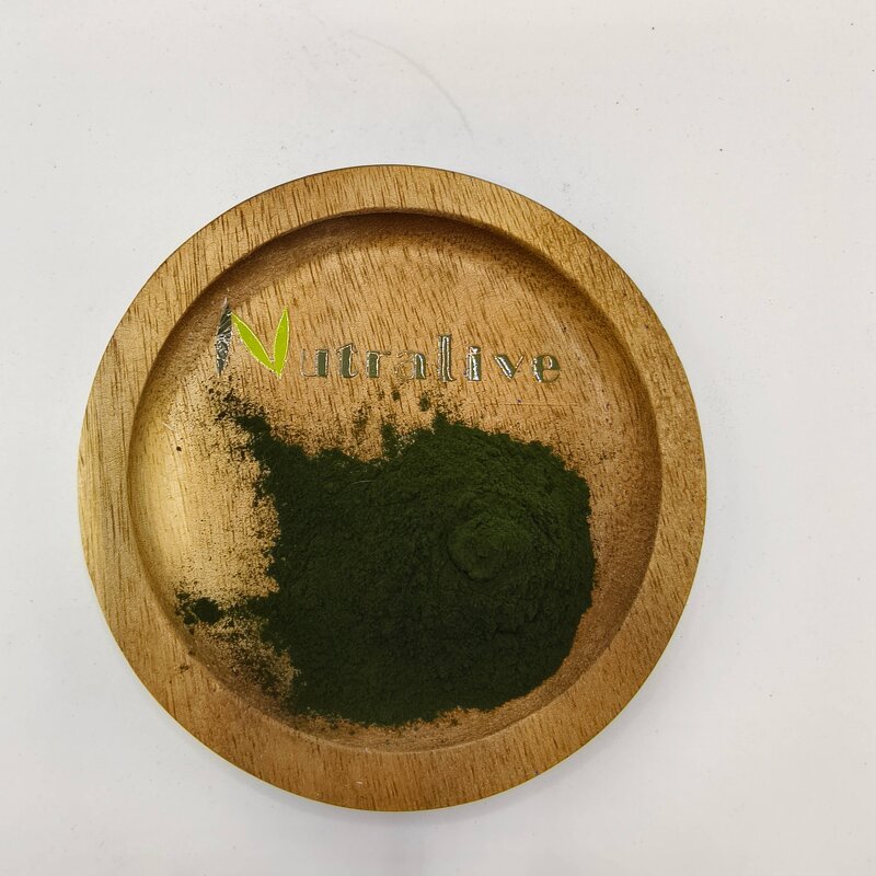 Spirulina Powder Manufacturer - 100% Pure Organic & ISO HALAL