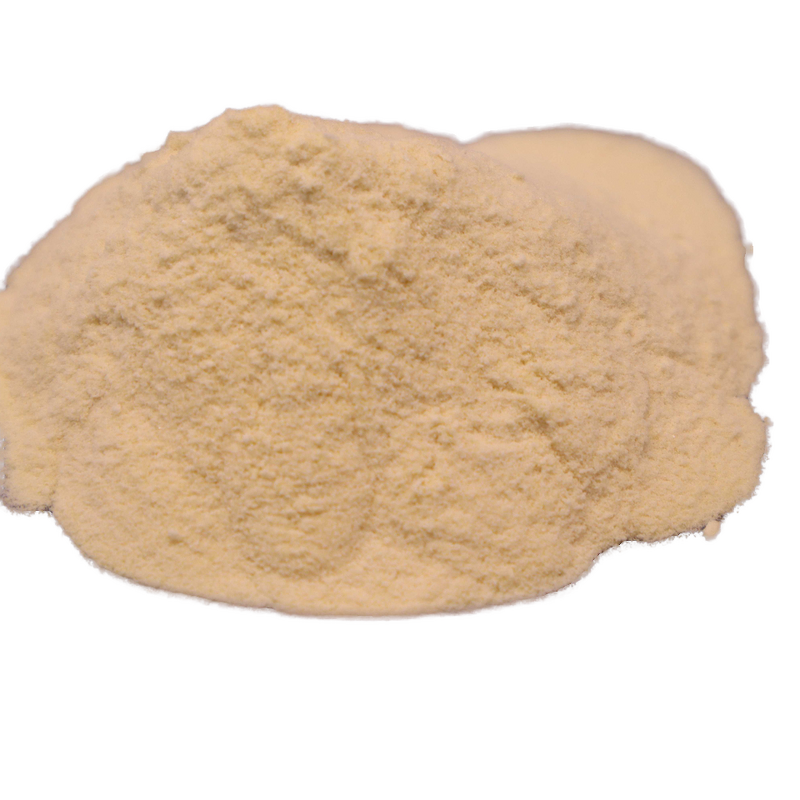 Astragalus Extract Manufacturer - Astragalus Membranaceus
