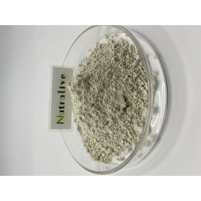 Sunflower Seed Oil Powder Manufacturer - 100% Natural Plant Protein