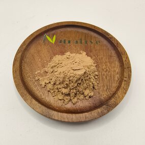 Ashwagandha Powder Manufacturer - Bulk Supply