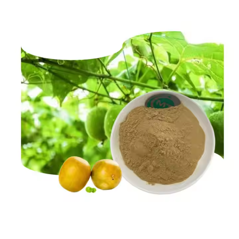 Monk Fruit Extract Manufacturer - Mogroside V 10-50% & 98% Purity