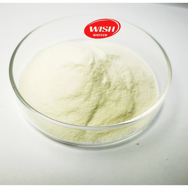 Albumen Powder Supplement - Manufacturer - Nutritious High Protein Egg White Powder
