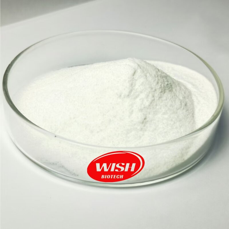 Food Grade Albumen Powder - Manufacturer - High Quality Pure Egg White Protein Supplement
