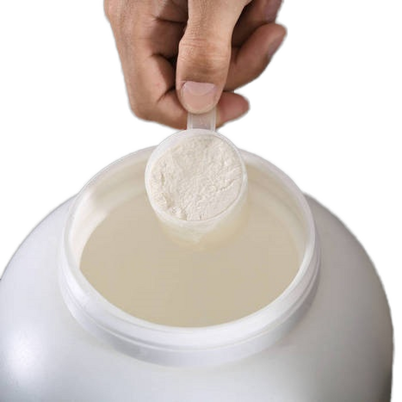 Whey Protein Isolate - Manufacturer - Food Grade Muscle Building Premium Protein Supplement