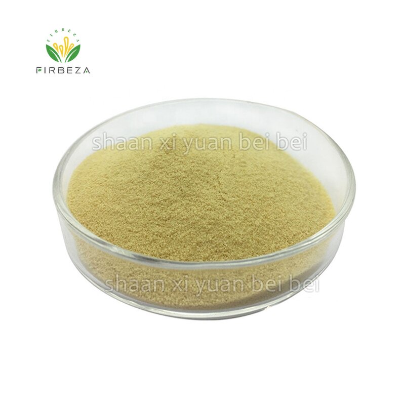 Tryptone Powder - Manufacturer - Firbeza Supply High Quality Bulk Tryptone Powder