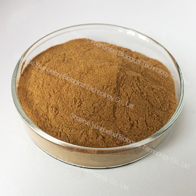 Barberry Extract - Manufacturer - Factory Bulk Damnacanthus Indicus Berberis Vulgaris Powder