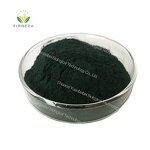 Chlorophyllin Powder - Manufacturer - High Quality Food Grade Water Soluble Sodium Magnesium