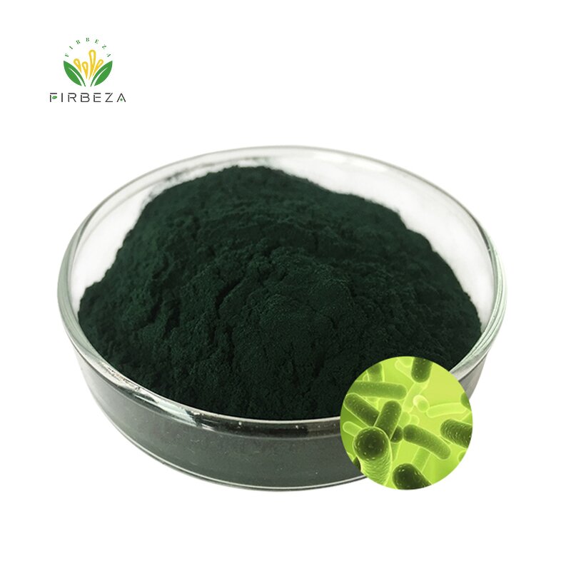 Spirulina Powder - Manufacturer - 65% Protein Wholesale Bulk Pure Organic Algae Extract