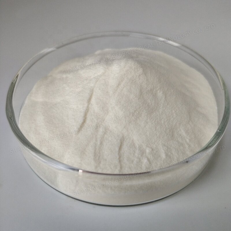 Snail Slime Extract - Manufacturer - 100% Pure Organic Snail Mucus Animal Protein Powder