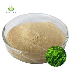 Fucoidan Powder - Manufacturer - Super Food 5%-95% Seaweed Kelp Extract Pure Powder