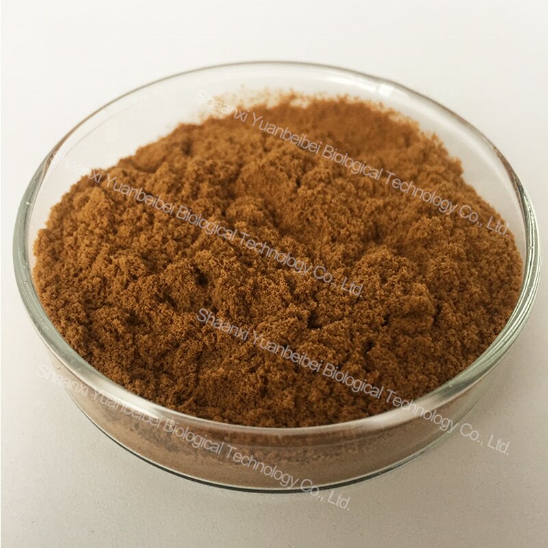 Maca Powder - Manufacturer - Wholesale 100% Pure Organic 10:1 Black Maca Root Extract Powder