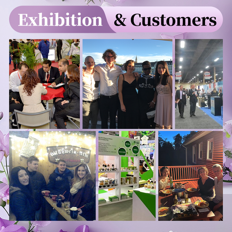 Acerola Cherry Extract - Manufacturer - Wholesale 10:1 Organic Juice Concentrate Powder