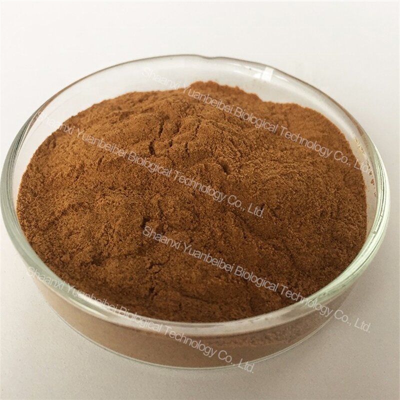 Ceylon Cinnamon Powder - Manufacturer - Factory Price Pure Organic Cinnamon Bark Extract