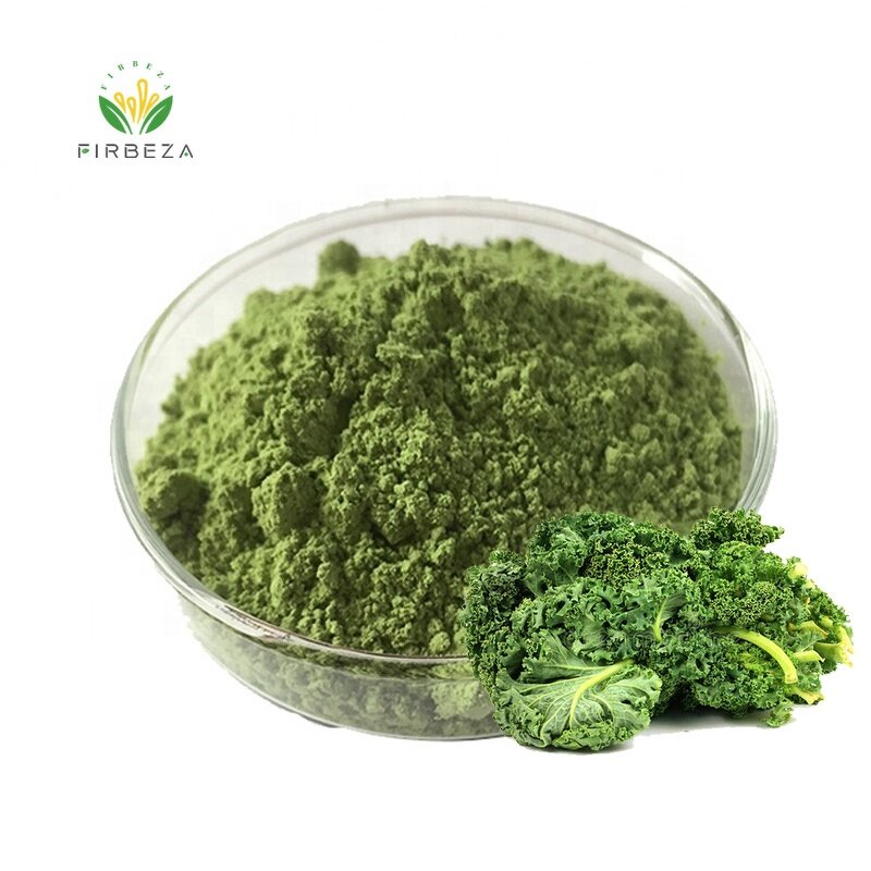 Kale Powder - Manufacturer - Freeze Dried Bulk Pure Organic Kale Extract Powder