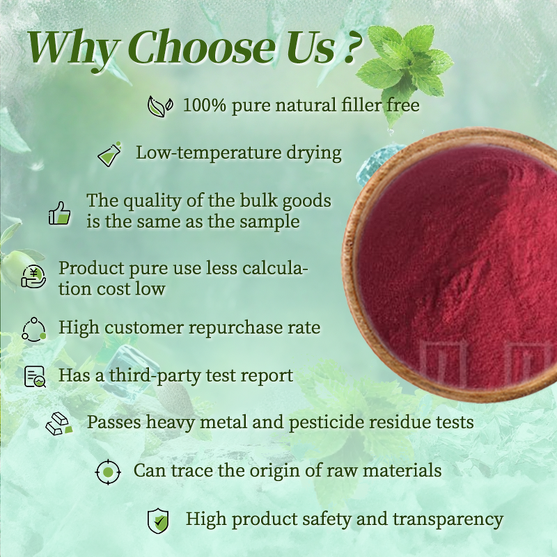 Beetroot Powder - Manufacturer - Water Soluble Food Grade 100% Organic Red Beet Root Powder