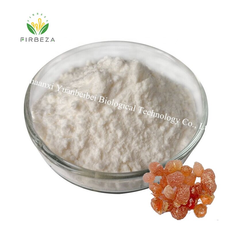 Acacia Arabic Gum - Manufacturer - Wholesale Natural Organic Food Grade Additive Powder