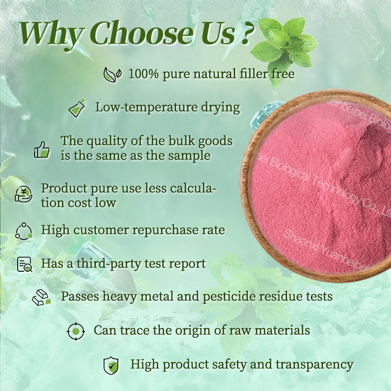 Cranberry Powder - Manufacturer - Pure Organic Natural Bulk Cranberry Extract Juice Powder