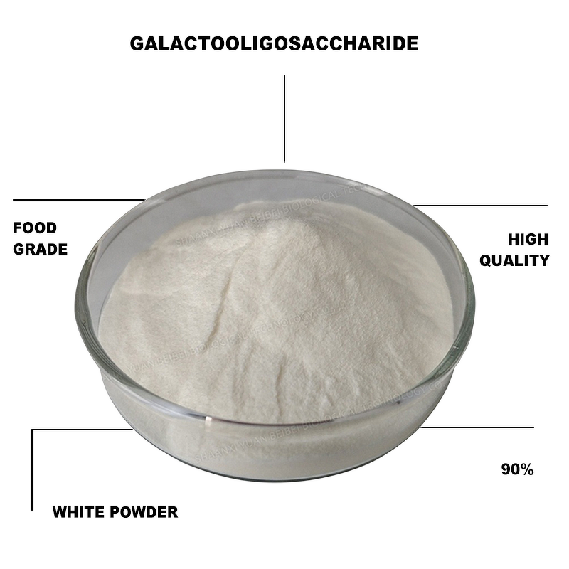 GOS Powder - Manufacturer - High Purity Galacto Oligosaccharide Galactooligosaccharide
