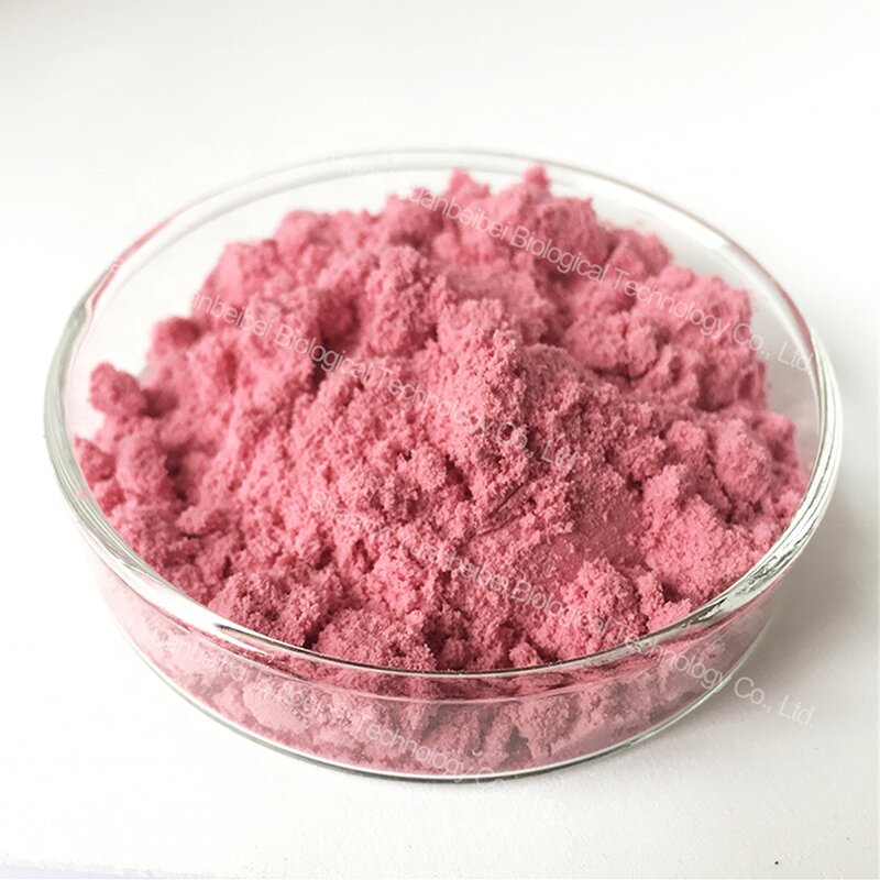 Blackcurrant Extract - Manufacturer - Organic 30:1 Instant Black Currant Juice Concentrate